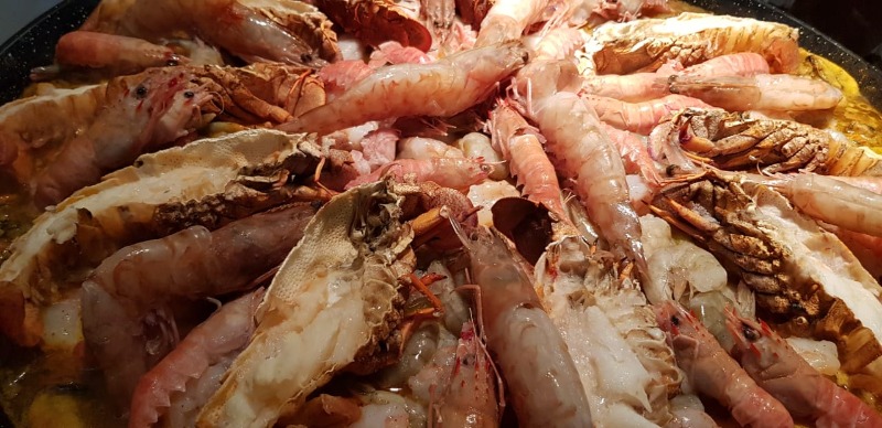 WhatsApp Image 2019-11-18 at 19.21.29 (1).jpeg