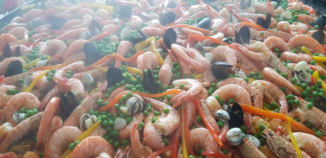 WhatsApp Image 2019-11-18 at 19.23.21.jpeg