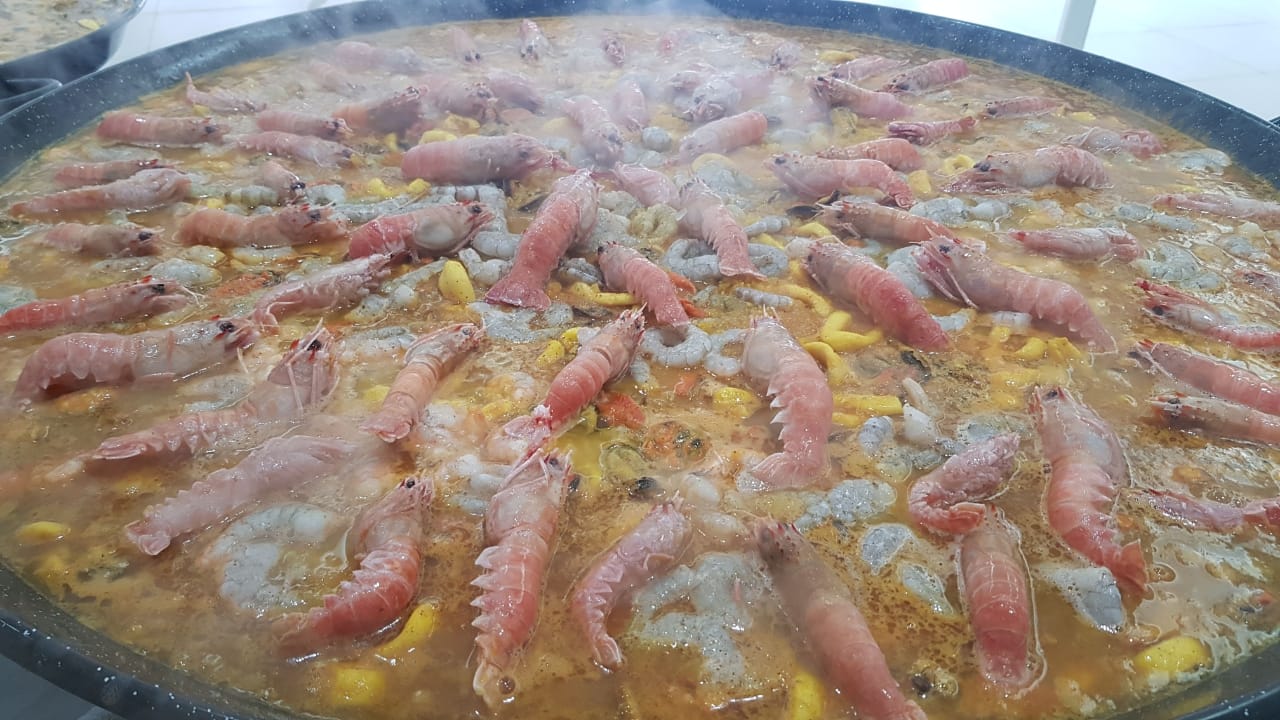 WhatsApp Image 2020-02-06 at 18.15.28 (1).jpeg