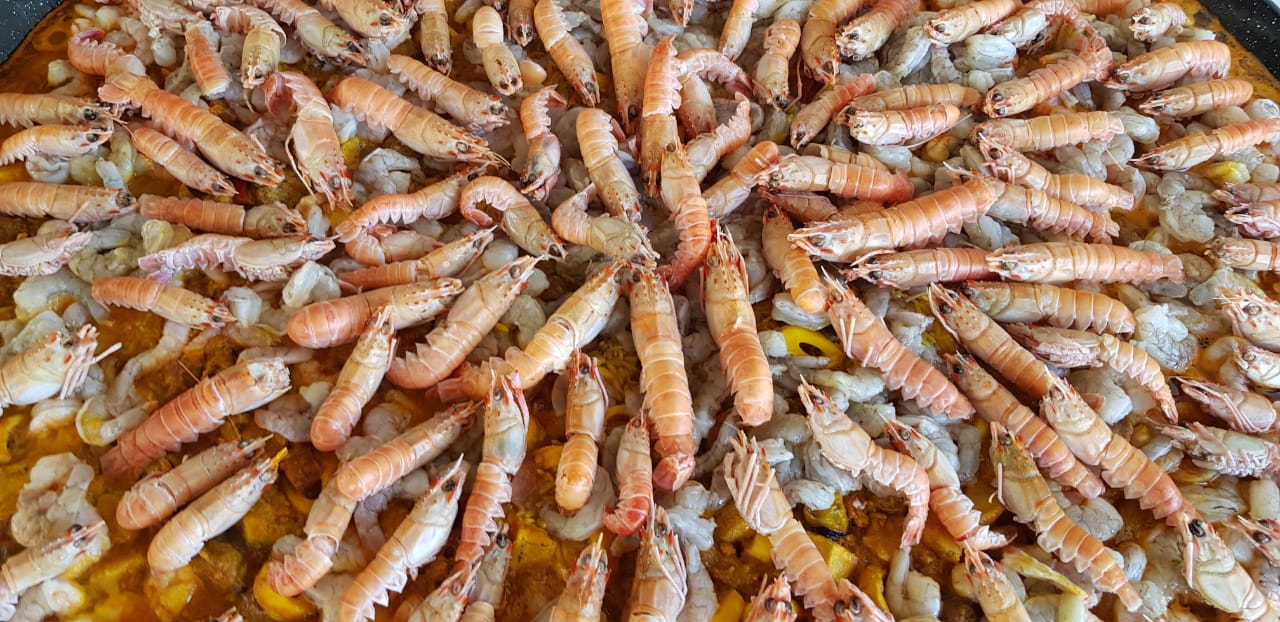 WhatsApp Image 2020-02-06 at 18.18.40 (1).jpeg