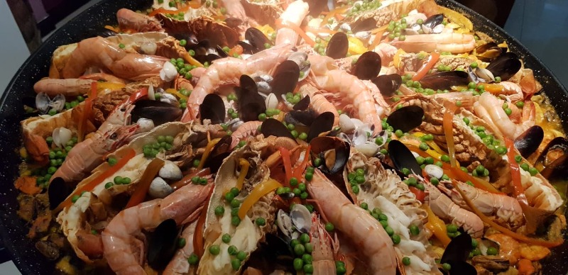 WhatsApp Image 2019-11-18 at 19.21.30.jpeg