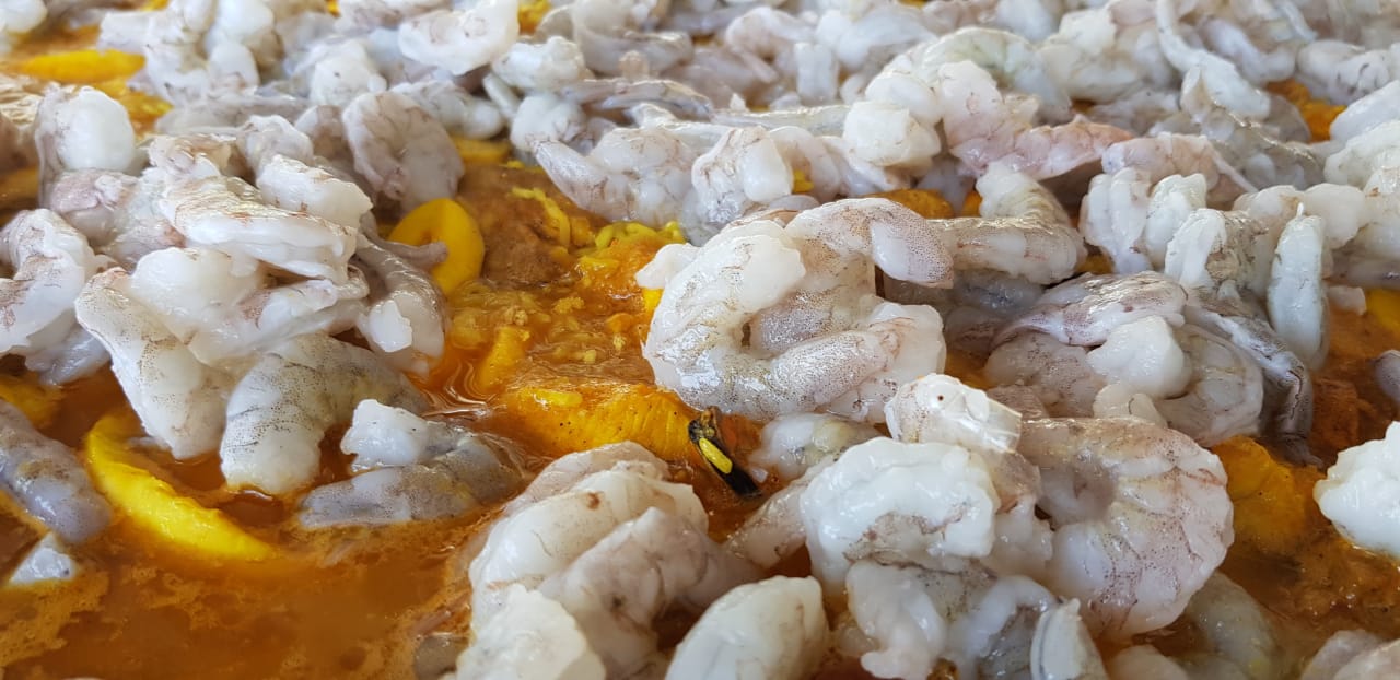 WhatsApp Image 2020-02-06 at 18.18.39 (1).jpeg