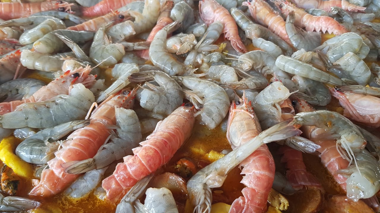 WhatsApp Image 2019-12-01 at 19.20.29.jpeg