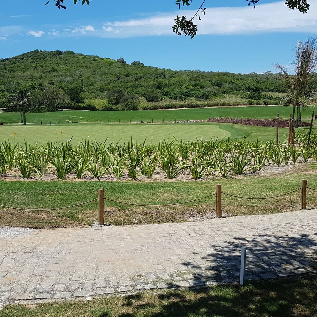 WhatsApp Image 2019-11-24 at 14.50.33 (1).jpeg