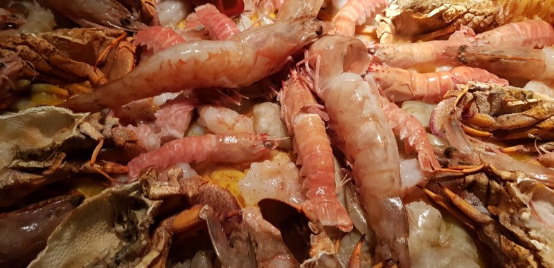 WhatsApp Image 2019-11-18 at 19.21.29.jpeg