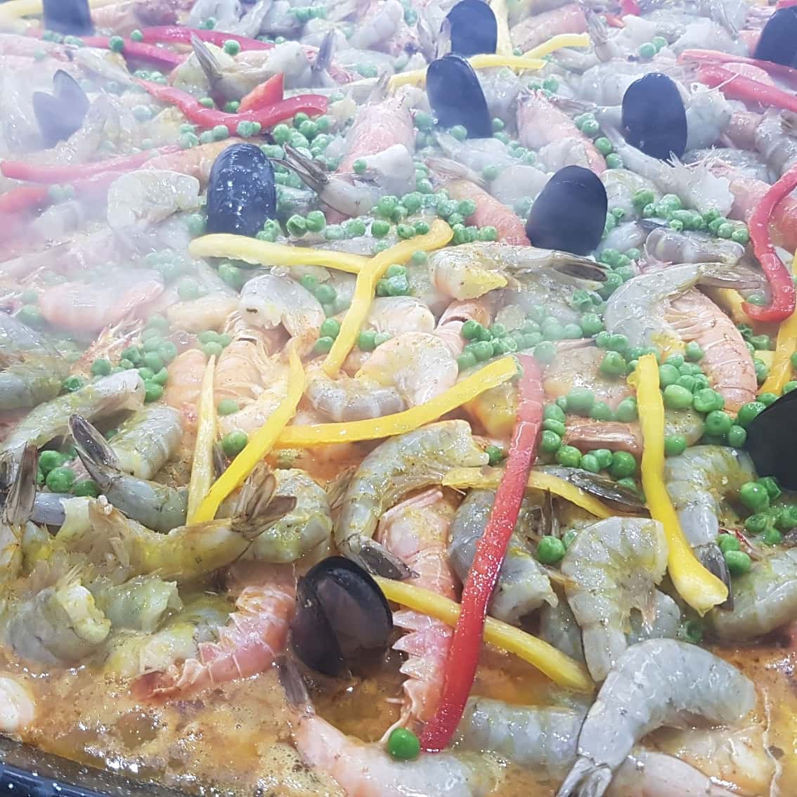 WhatsApp Image 2020-02-06 at 18.15.29 (2).jpeg