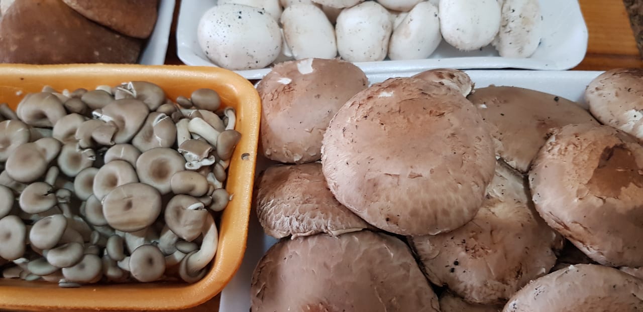 Paella do Ramon (6).jpeg